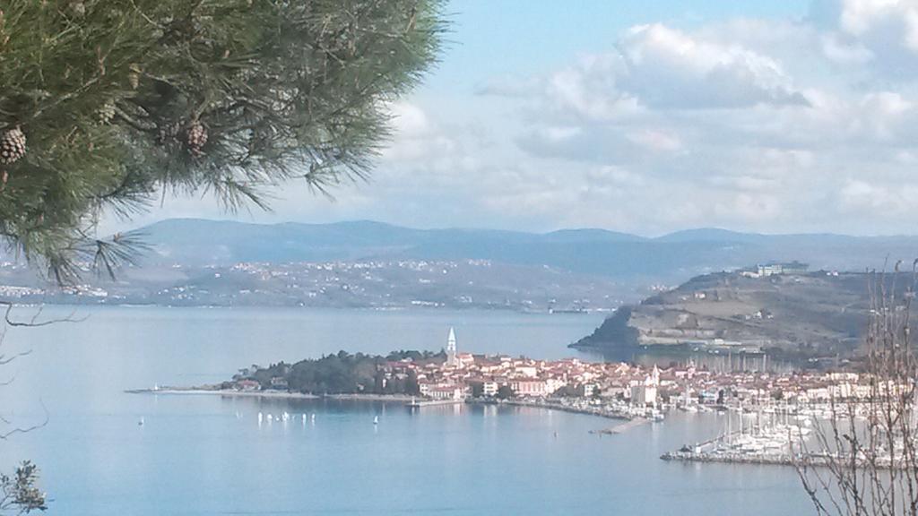Apartment Laguna 22 Izola Εξωτερικό φωτογραφία